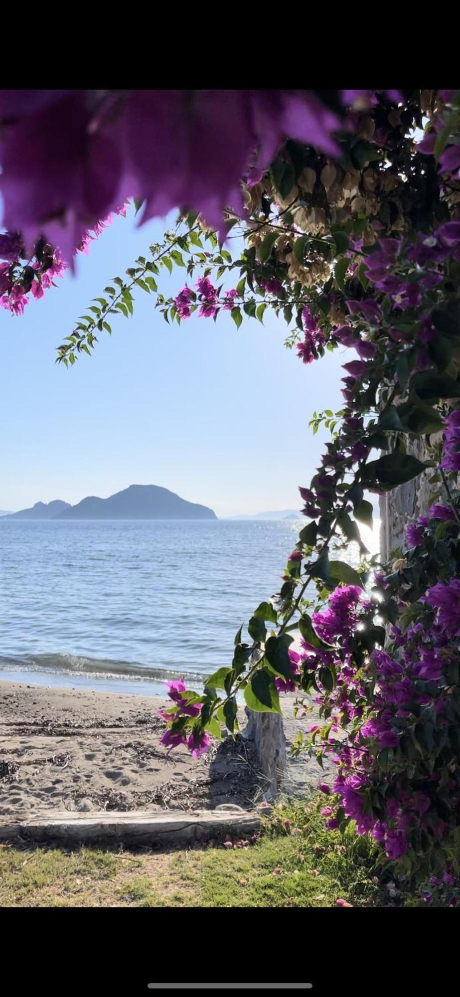 Villa Di Mare Bodrum Bagian luar foto